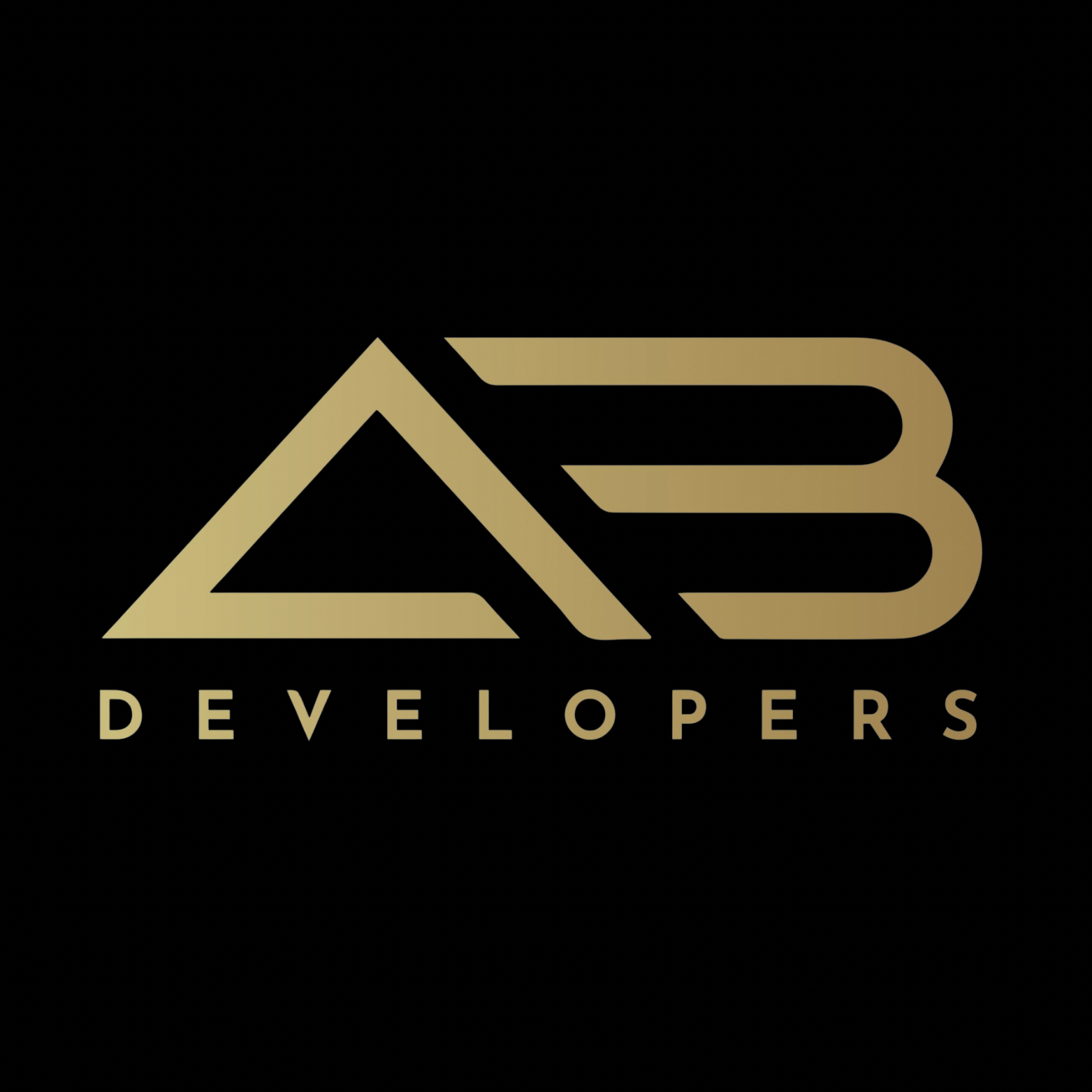 AB DEVELOPERS 