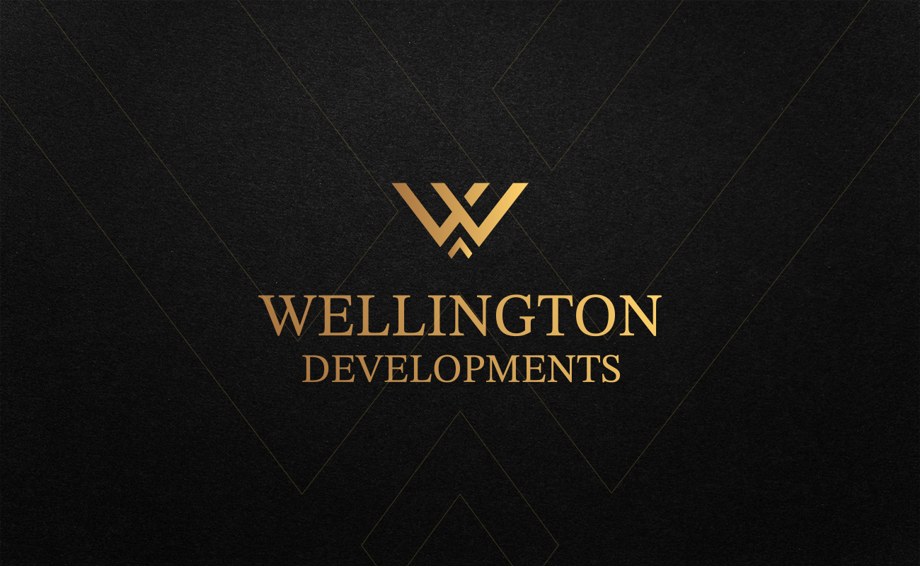 single developer image