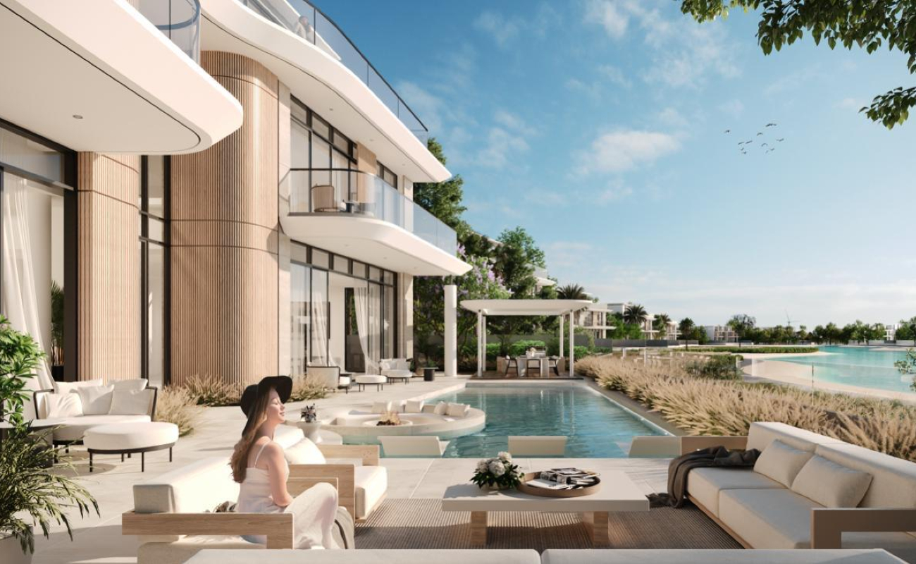 single developer image