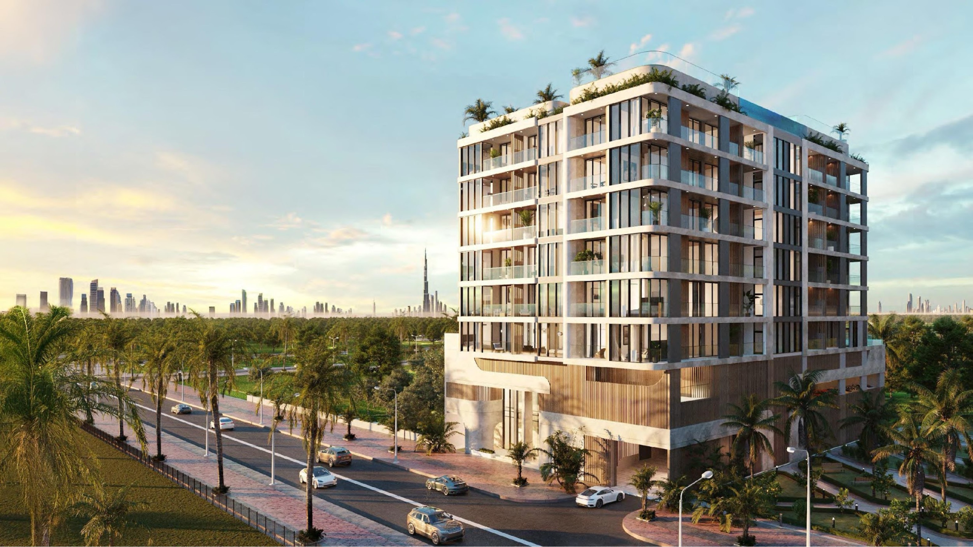 single developer image