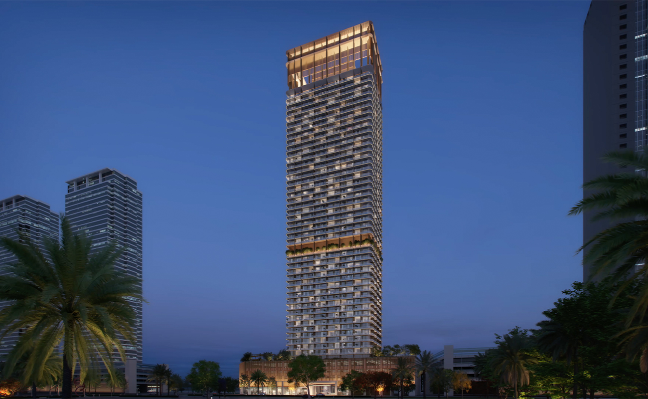 single developer image