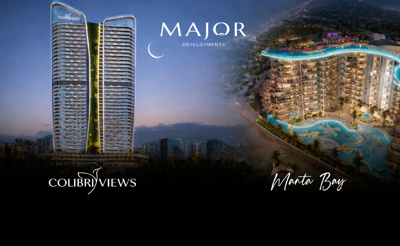 single developer image