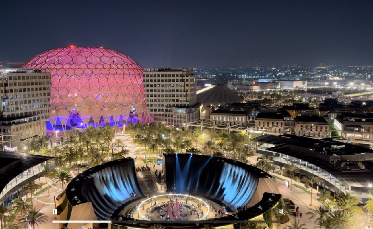 single developer image