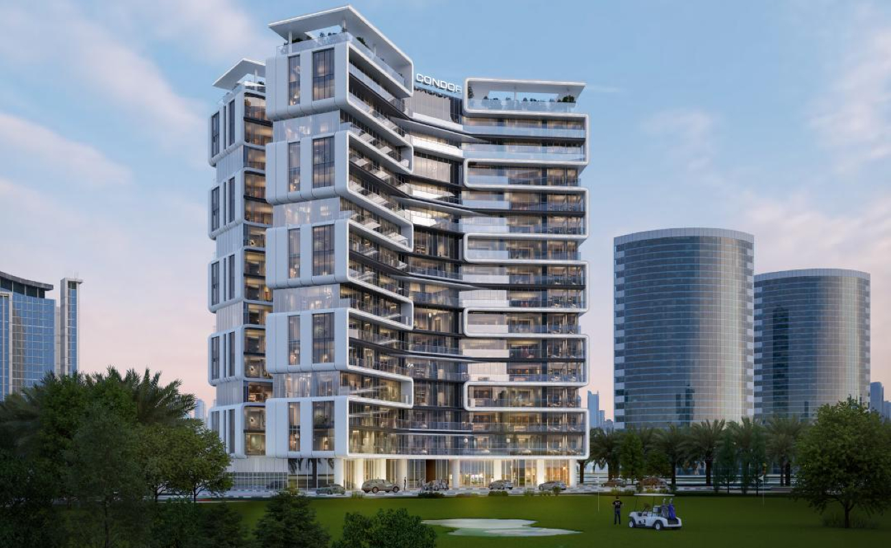 single developer image