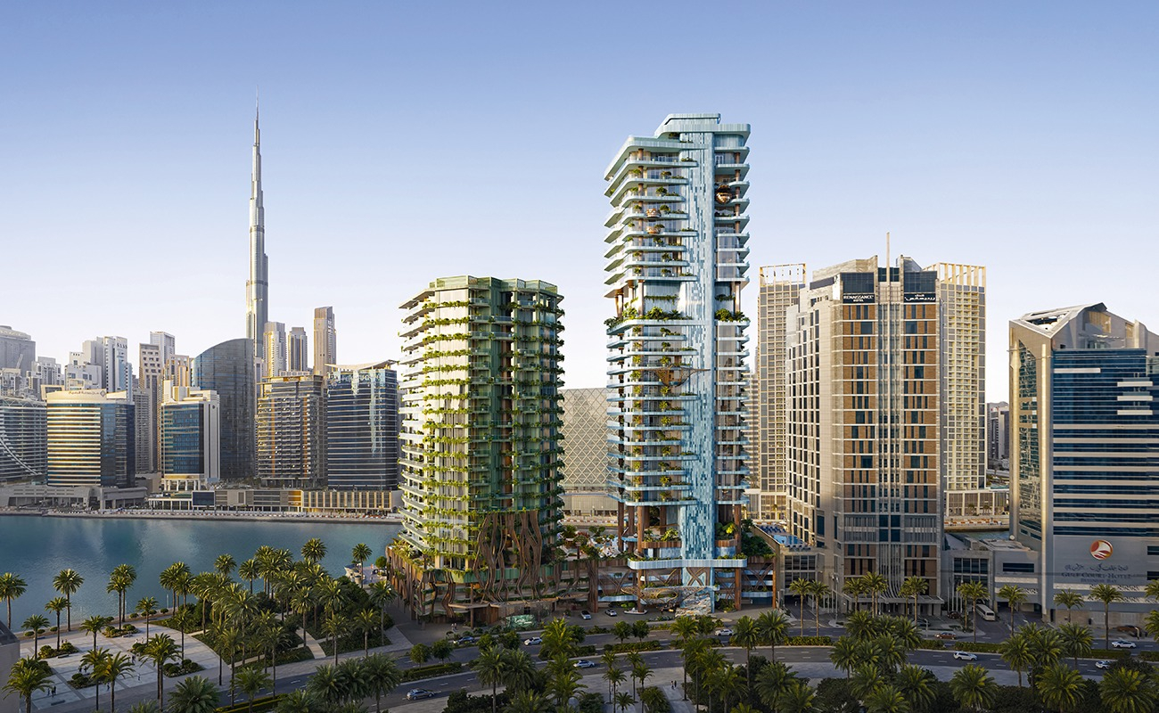 single developer image