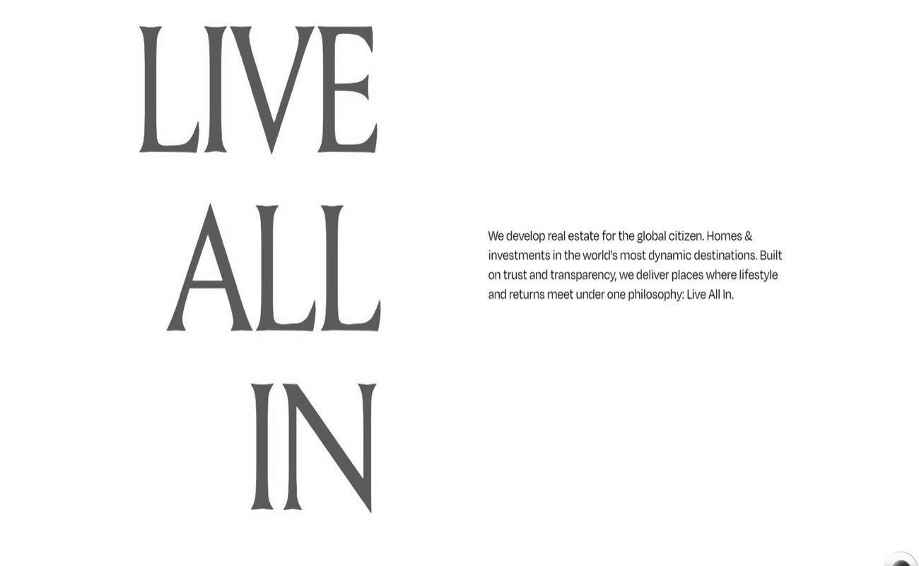 single developer image