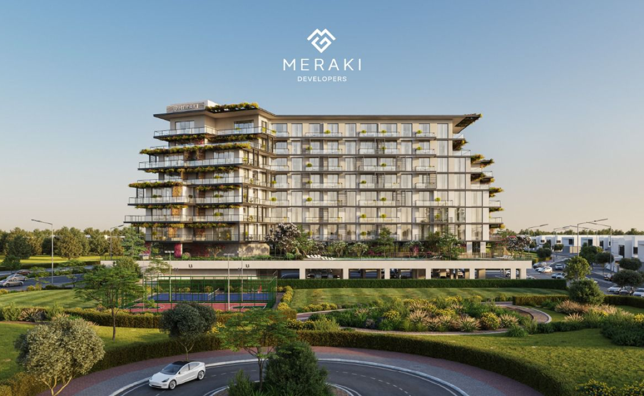 single developer image