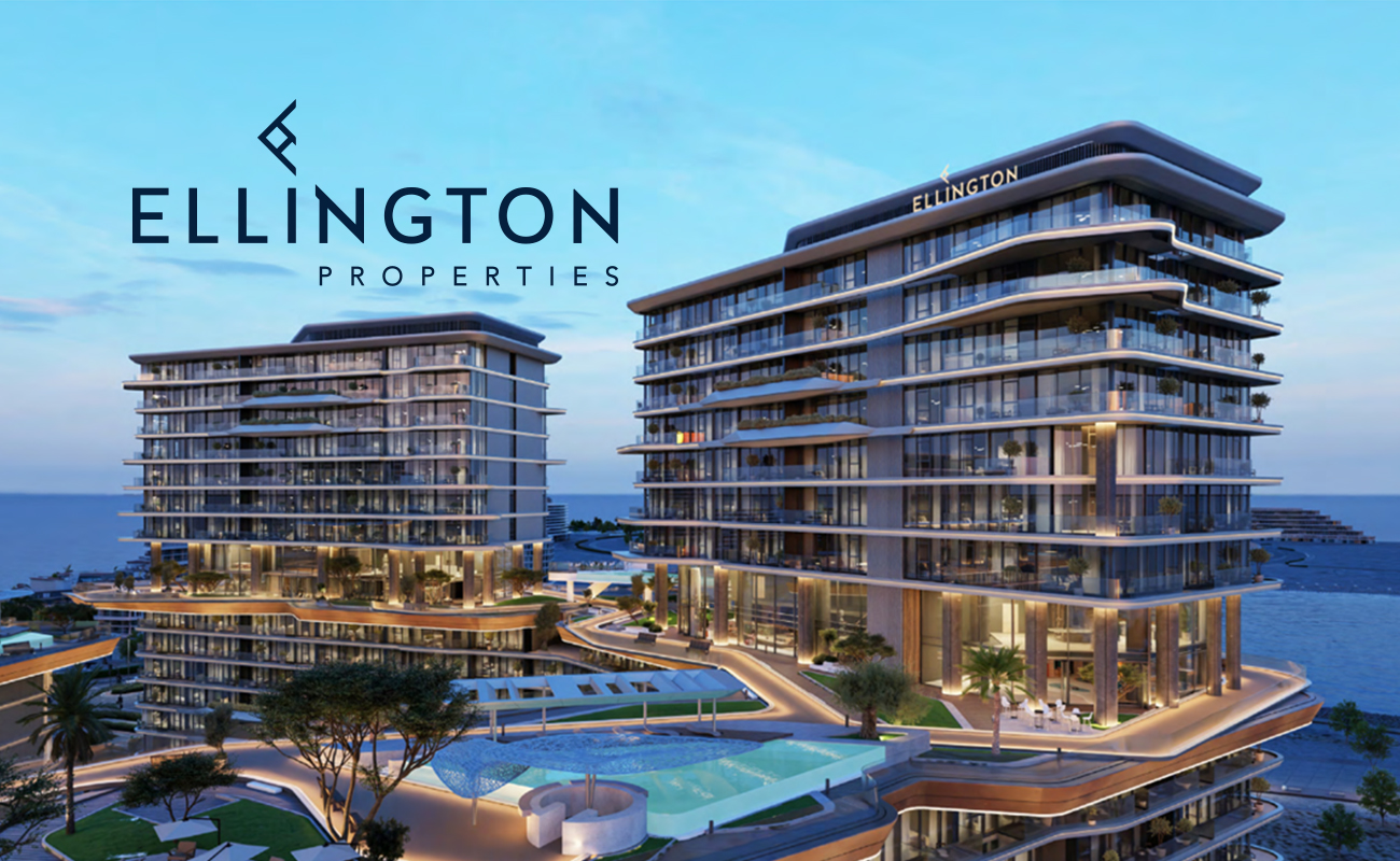 single developer image