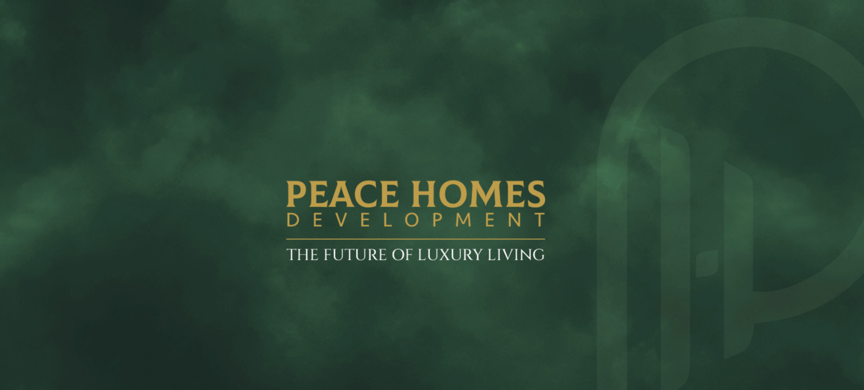 single developer image