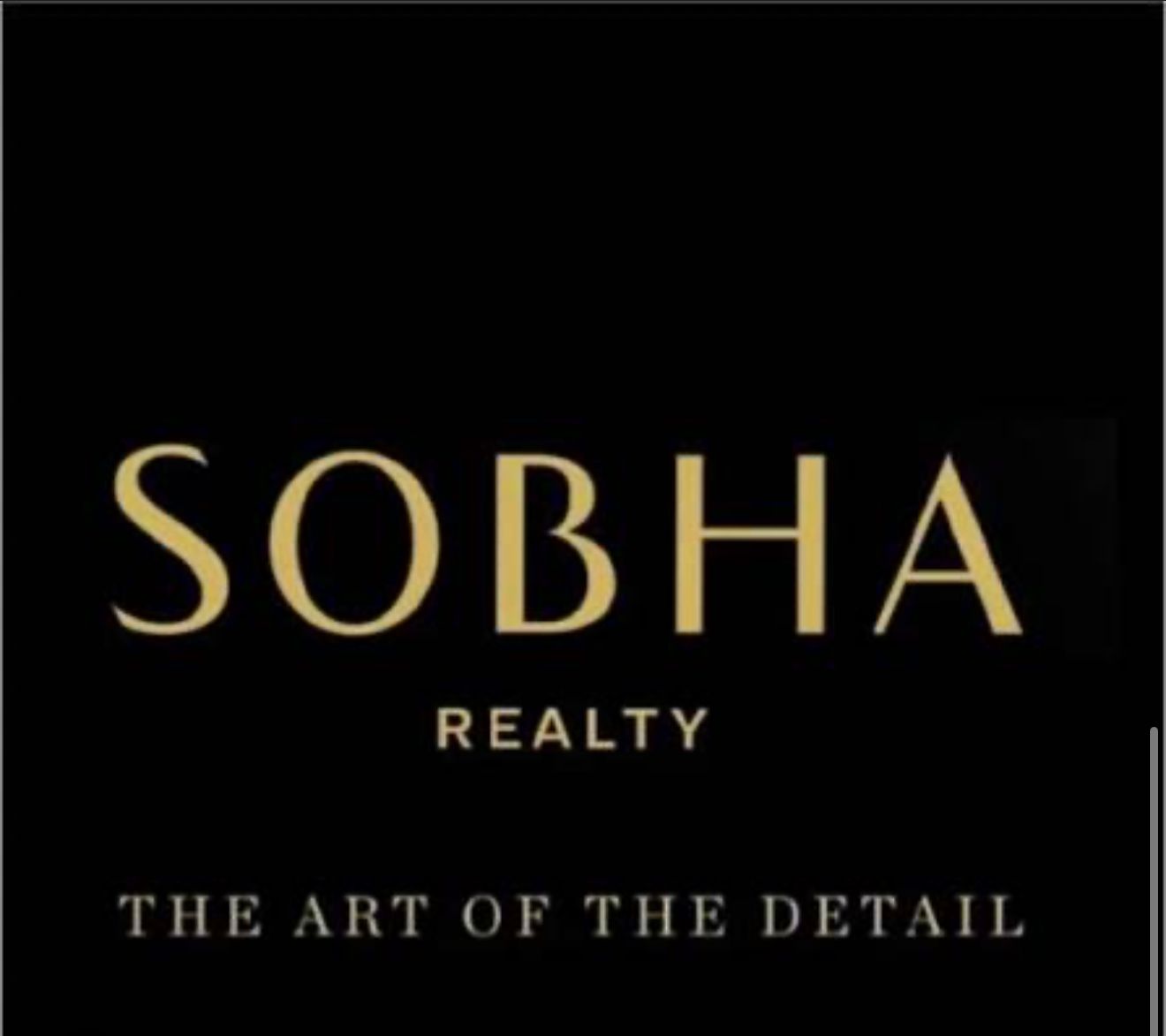 single developer image